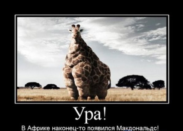 http://politikus.ru/uploads/posts/2014-04/1396551953_130829751533004465.jpg height=429
