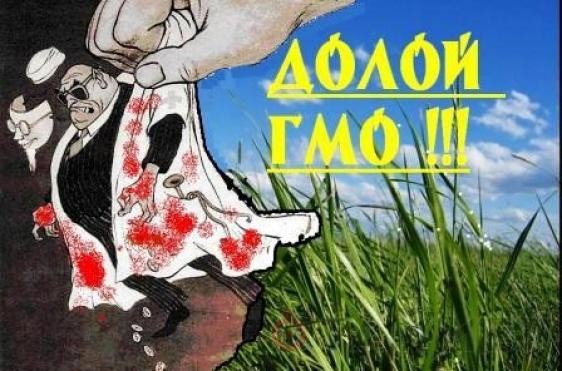 Россия прекратит производство продуктов с ГМО