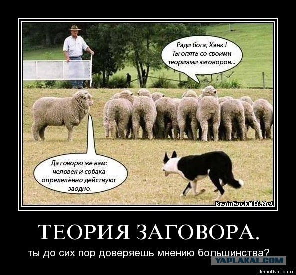 http://politikus.ru/uploads/posts/2015-06/1435084880_1540723.jpg