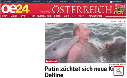 «Уберите дельфинов от безумного Путина»: западные СМИ переплюнули в кретинизме даже украинских журналистов