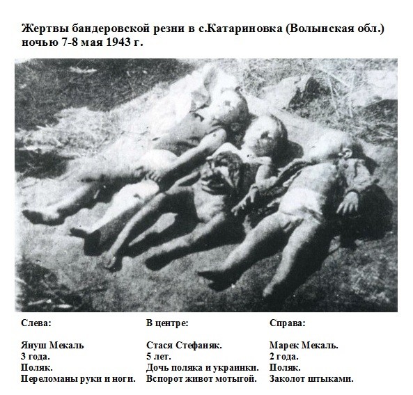 73 года Волынской резне: история и современность
