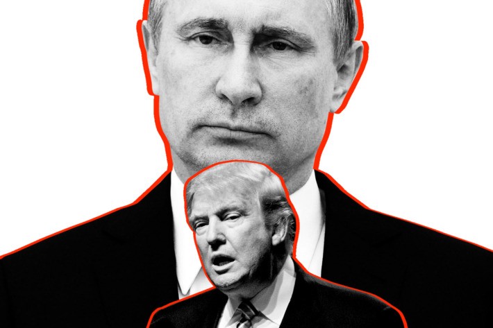 В США считают, что Путин проверит, насколько Трамп – крепкий орешек