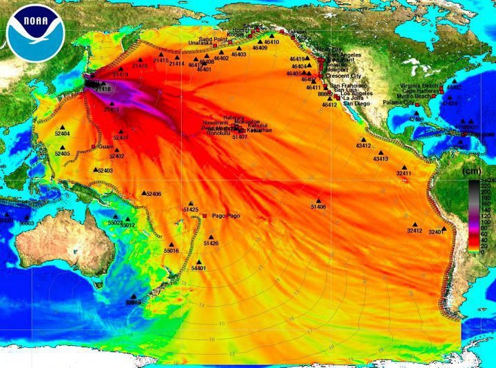 Радиоактивная вода из Фукусимы направляется к западному побережью США