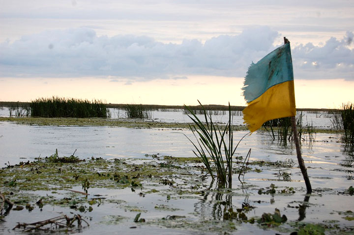 Обстановка на Украине больше похожа на болото