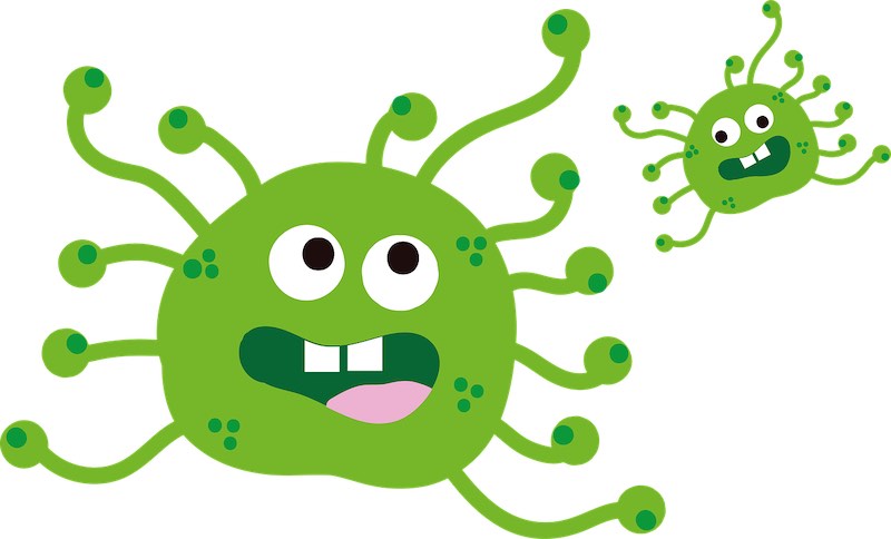 Эксперты: нет никаких оснований паниковать из-за коронавируса