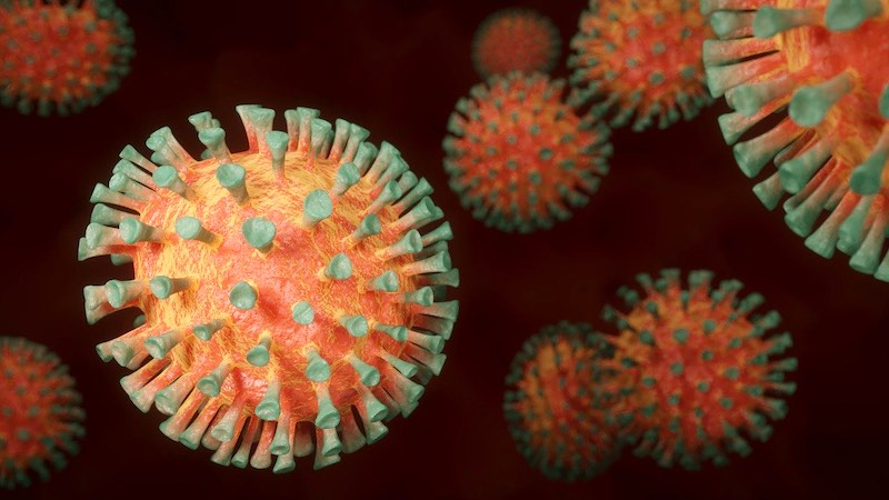 Зеленский поручил выяснить причину роста числа зараженных коронавирусом